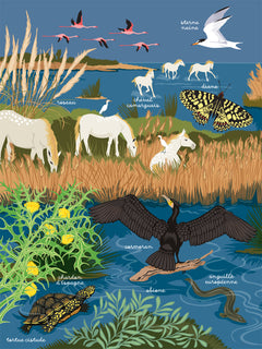 Les mains dans la nature - La mer