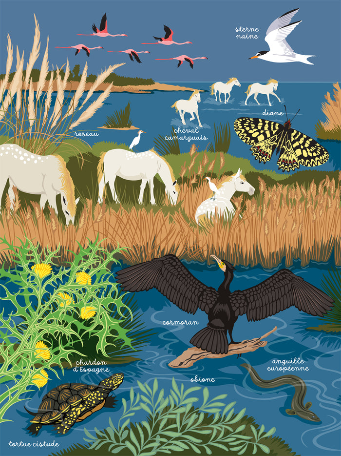 Les mains dans la nature - La mer