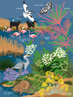 Les mains dans la nature - La mer