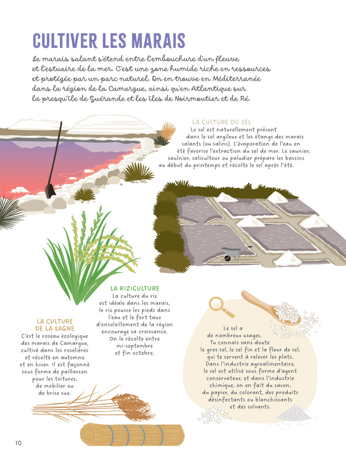 Les mains dans la nature - La mer