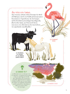 Les mains dans la nature - La mer