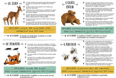 Dans la forêt secrète