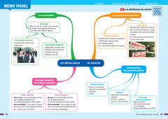Prépabac SES 1re générale (spécialité)