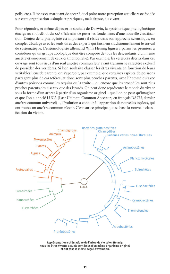 À la rencontre des animaux en montagne