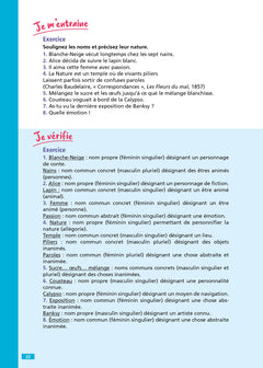 Objectif CRPE 2025 - Français - 100 fiches efficaces pour bien réviser - épreuve écrite d'admissibilité