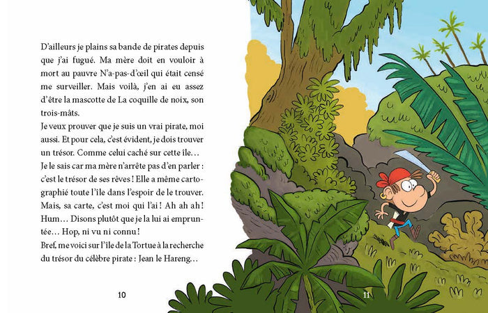 Mon roman CHASSE AU TRESOR - Sur l'île des pirates