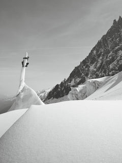 Monica Dalmasso : sauvage !