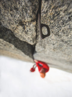 Monica Dalmasso : sauvage !