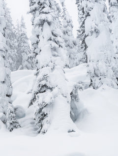 Nées pour skier