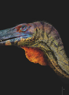 Le grand atlas des dinosaures