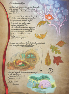 Mystère et boule de gnome !