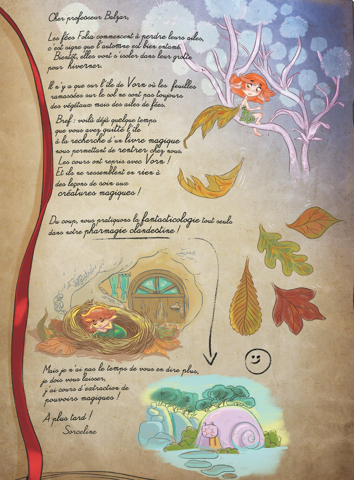 Mystère et boule de gnome !