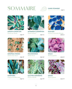 L'Art des plantes en papier