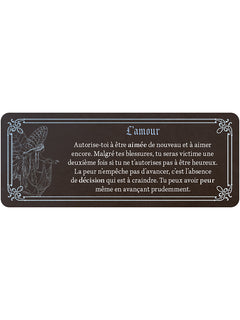 Le petit oracle grimoire de fées