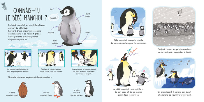 Connais-tu les bébés animaux ?