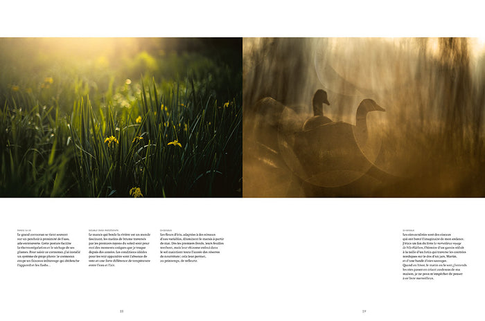 La rivière en bas de chez moi