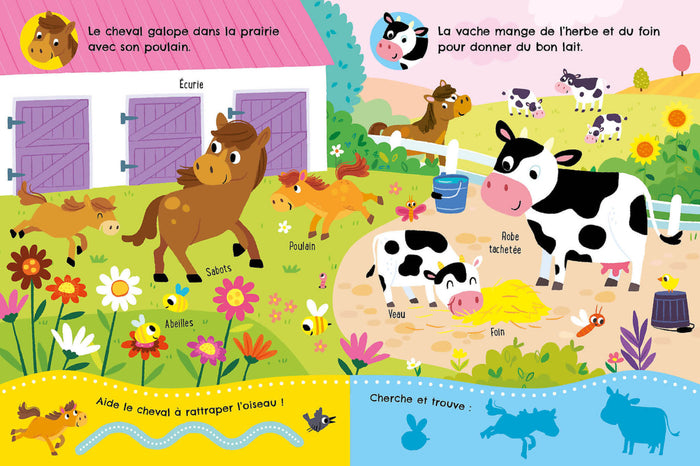 Écoute, découvre et observe - La ferme