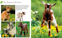 Mes 500 plus belles photos - La ferme