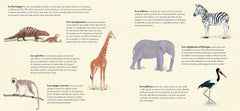 Tous les animaux dormaient