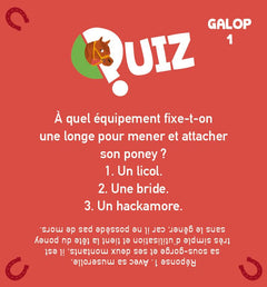 Le quiz 100% Chevaux