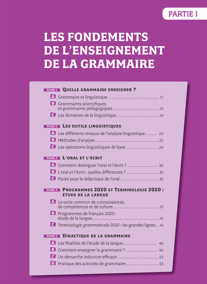 Quelle grammaire enseigner ?