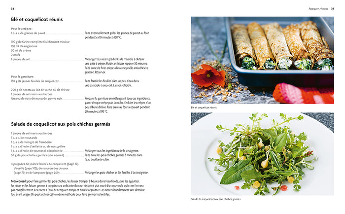 La cuisine des plantes sauvages