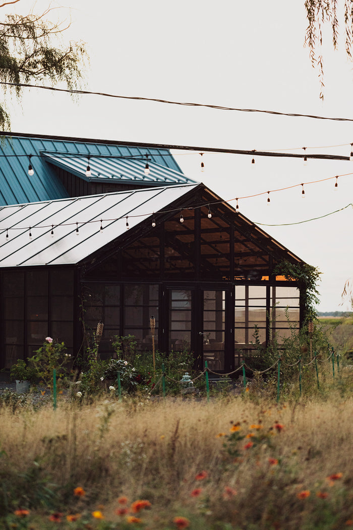 Racines - 92 recettes de cuisine d'inspiration turque