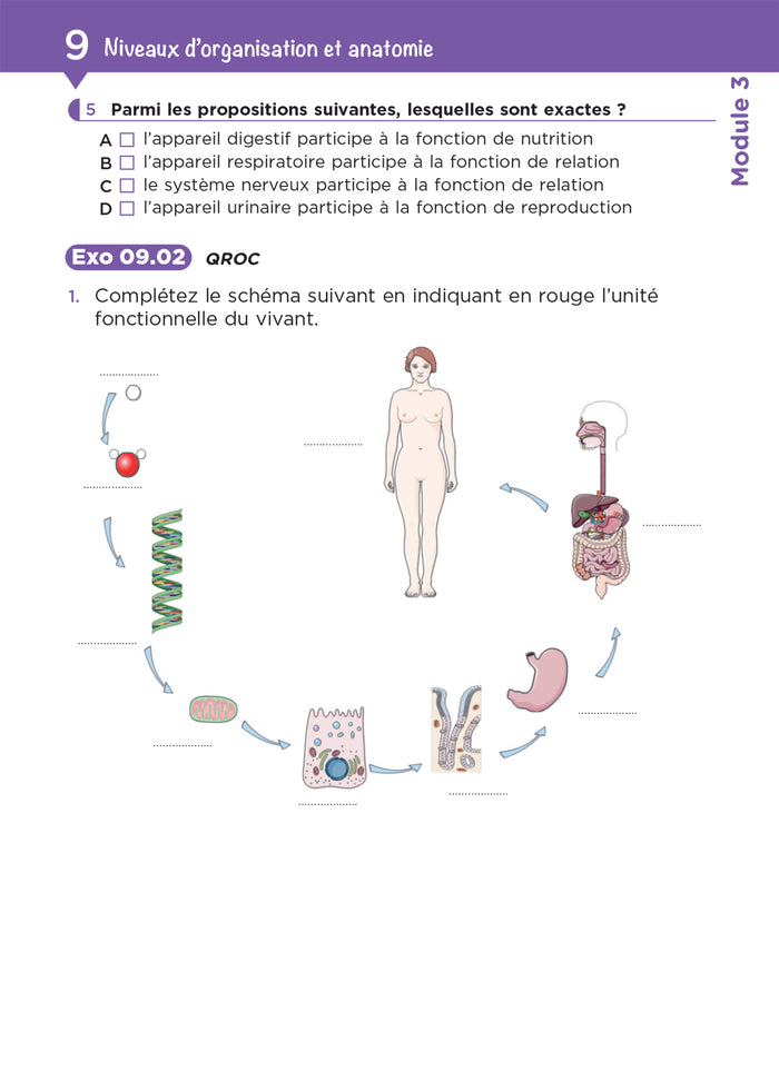 Tout le DEAS en QCM/QROC - IFAS