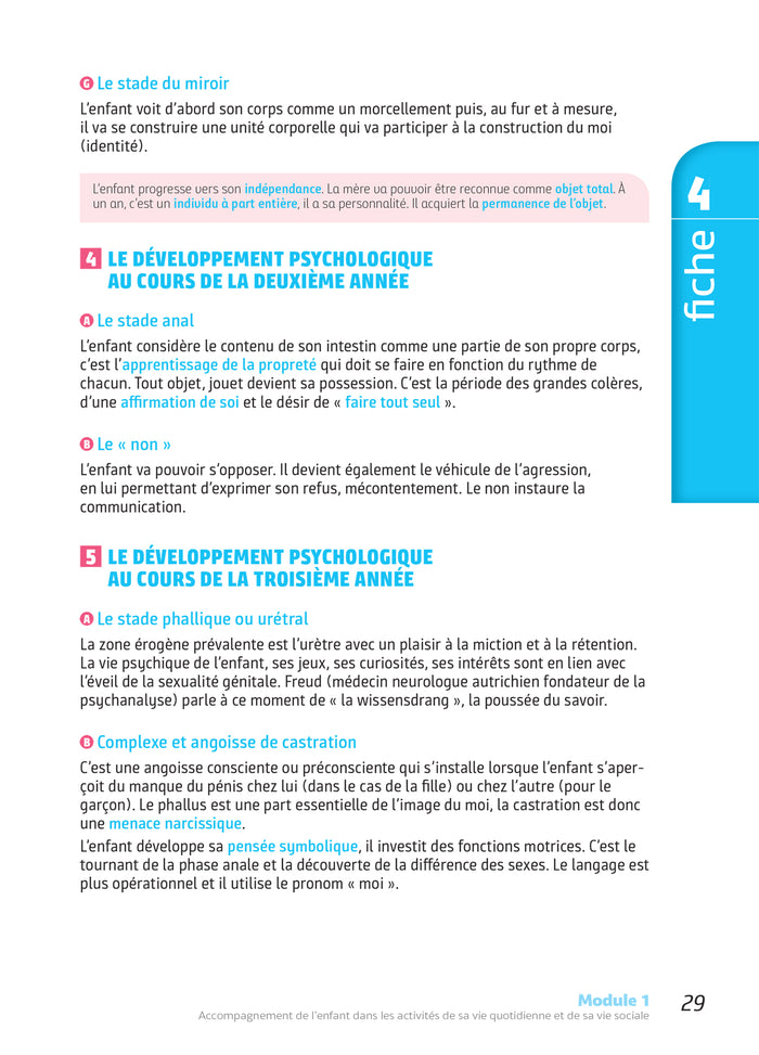 Tout-en-un DEAP - IFAP - Diplôme État Auxiliaire puériculture Programme complet - 2025-2026