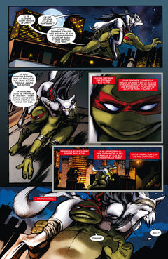 Les Tortues Ninja - TMNT Micro-Série : Heroes