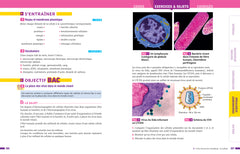 Prépabac Toute la 1re générale (tronc commun) - Bac 2025 (toutes les matières)