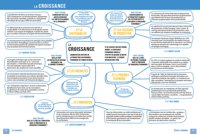 Réussir l'épreuve de spécialité SES au Bac - Tle générale