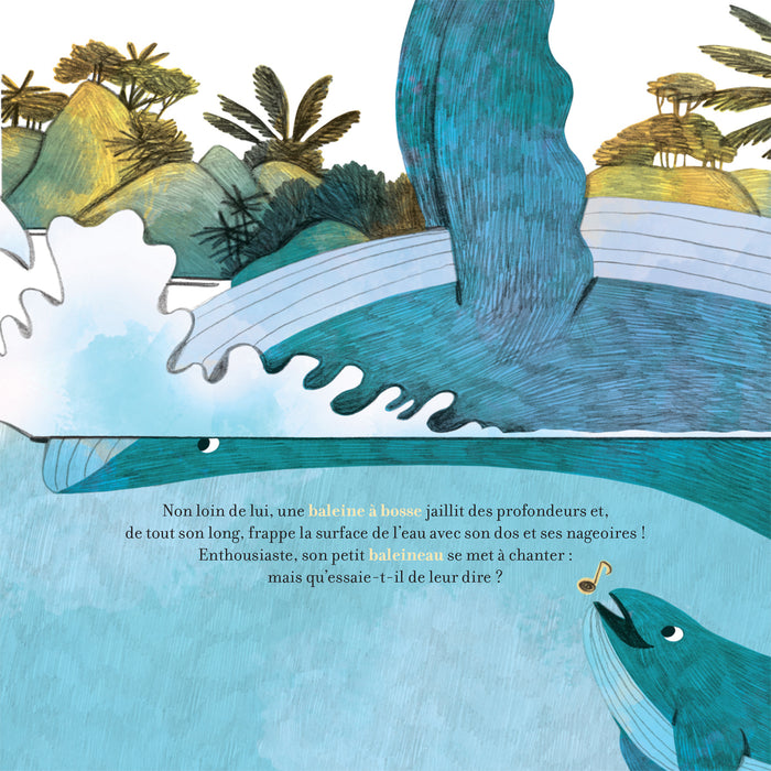 Contes de la nature - Pirouettes dans les fonds marins