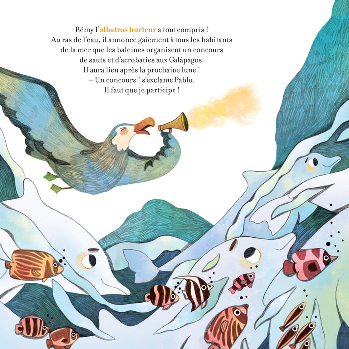 Contes de la nature - Pirouettes dans les fonds marins