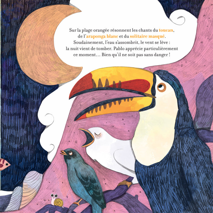 Contes de la nature - Pirouettes dans les fonds marins