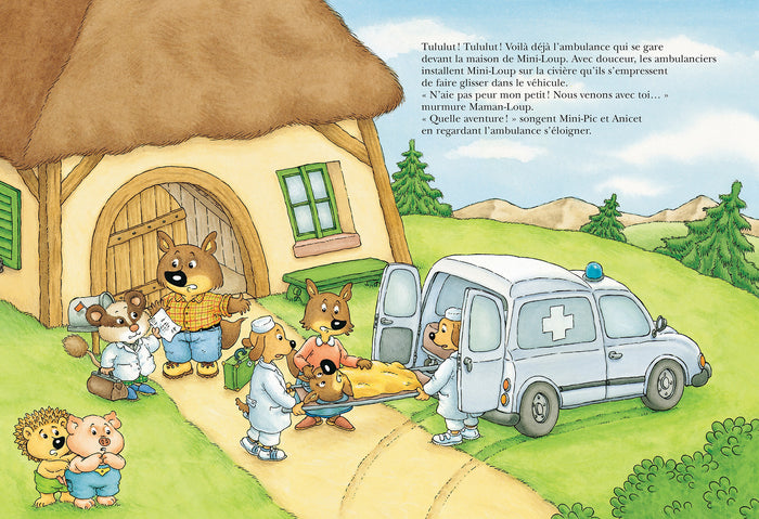 Mini-Loup à l'hôpital