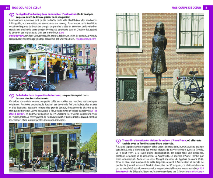 Guide du Routard Amsterdam et ses environs 2024/25