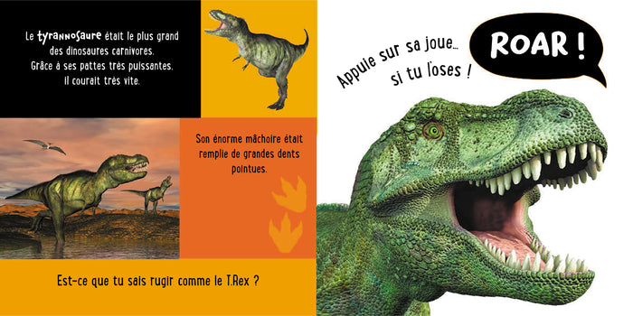 Mon premier livre sonore à toucher - Les dinosaures ne