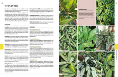 Encyclopédie des plantes d'intérieur
