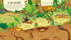 Le monde des insectes et des petites bêtes - P'tits curieux Usborne - Dès 5 ans