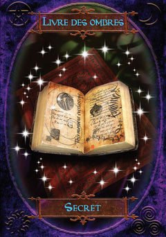 Coffret l'oracle la sagesse des sorcières