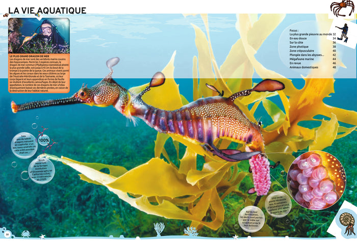 Guinness World Records 2024