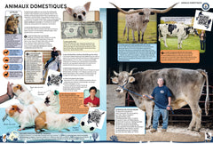 Guinness World Records 2024