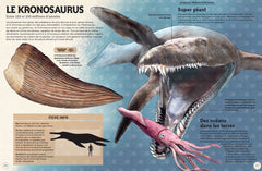 Incroyables animaux de la préhistoire