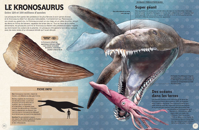 Incroyables animaux de la préhistoire