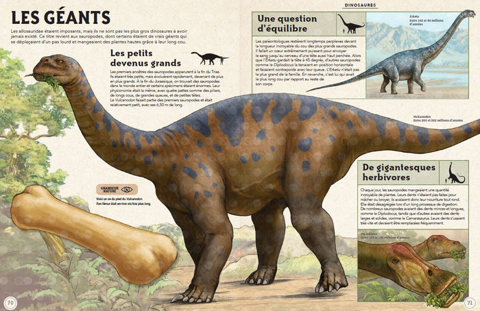 Incroyables animaux de la préhistoire