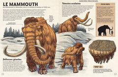 Incroyables animaux de la préhistoire