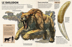 Incroyables animaux de la préhistoire