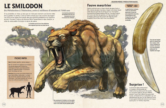 Incroyables animaux de la préhistoire