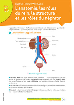 Le Volum' Bac pro - ASSP - Accompagnement, soins et services à la personne - Révision entraînement